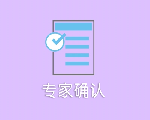 专家评审