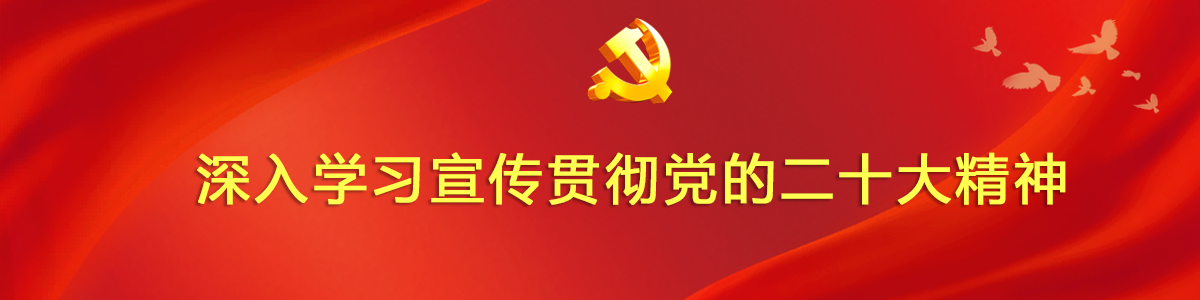 深入学习宣传贯彻党的二十大精神