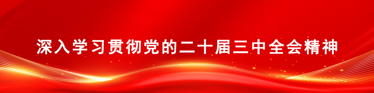 深入学习贯彻党的二十届三中全会精神